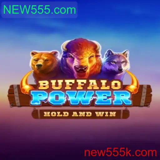 Explorando o Mundo do BuffaloPower em NEW555.com